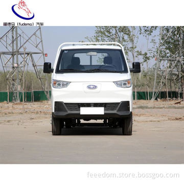 Capacità ultra-large pura Elefante elettrico Elefante EV Van elettrico Nuova Energia Halogena Luci anteriori e posteriori